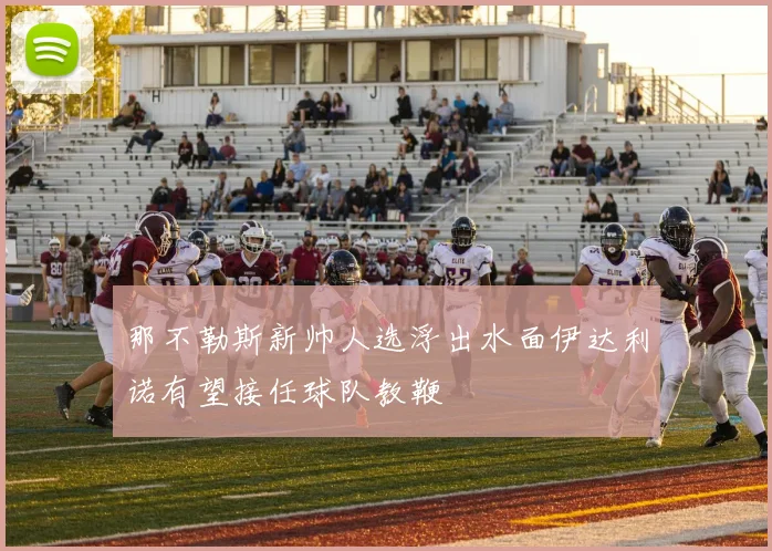 那不勒斯新帅人选浮出水面伊达利诺有望接任球队教鞭
