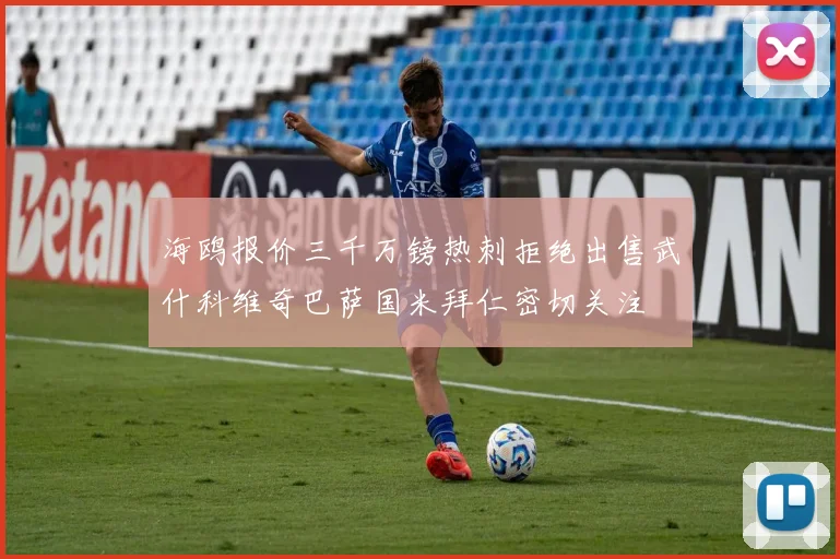 海鸥报价三千万镑热刺拒绝出售武什科维奇巴萨国米拜仁密切关注