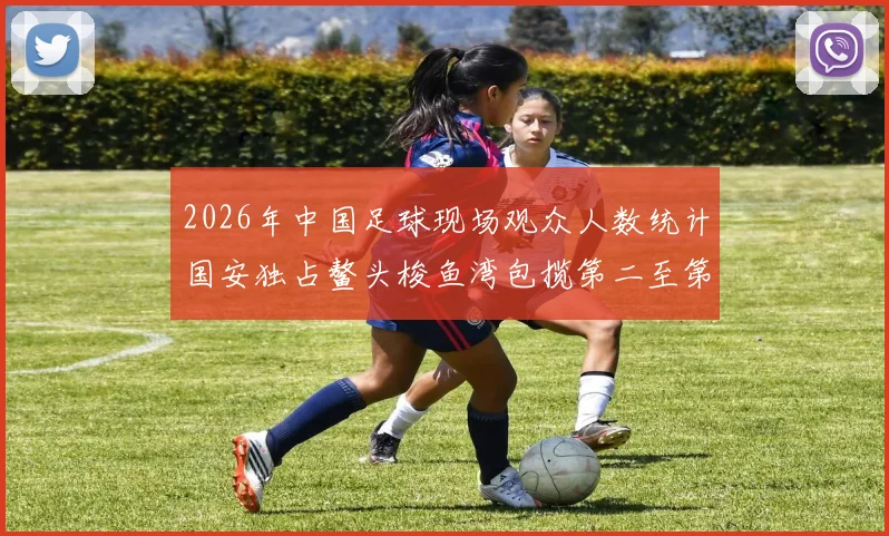 2026年中国足球现场观众人数统计国安独占鳌头梭鱼湾包揽第二至第七位